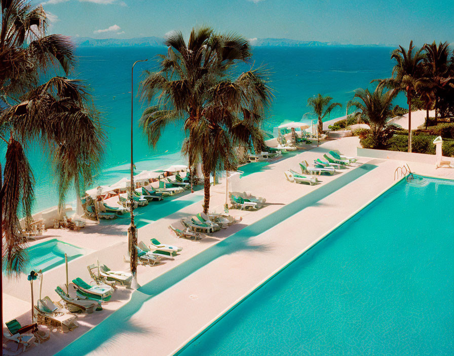 Tropical Resort Poolside with Palm Trees and Calm Blue Sea