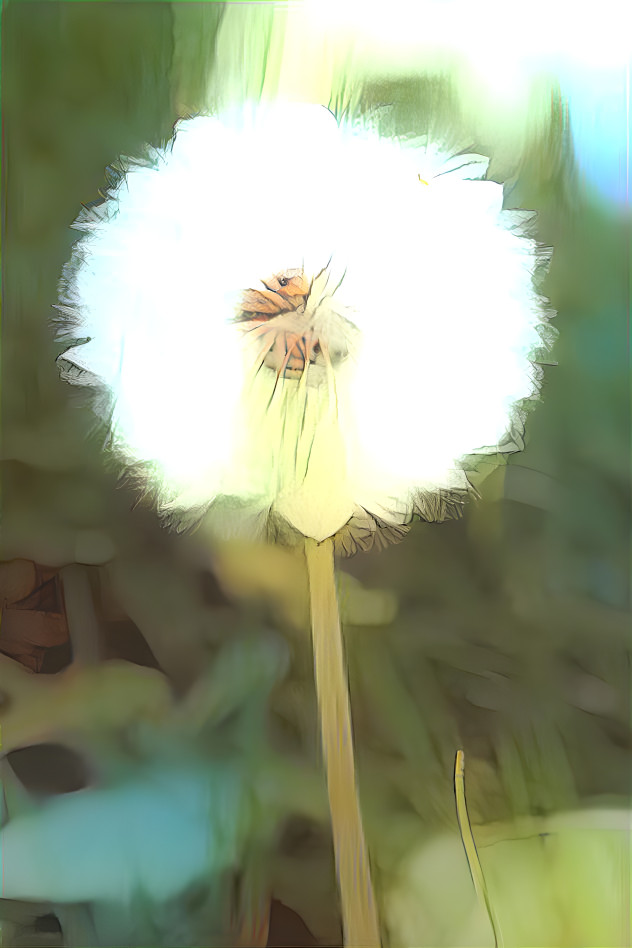 Pusteblume