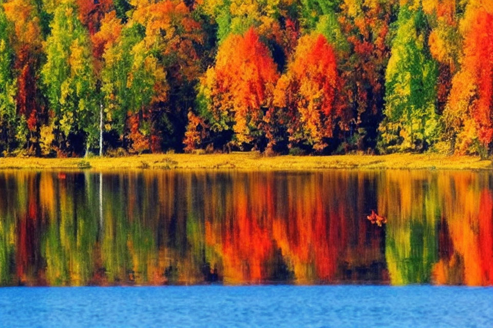 Autumn Trees Reflecting in Calm Lake with Vibrant Fall Colors