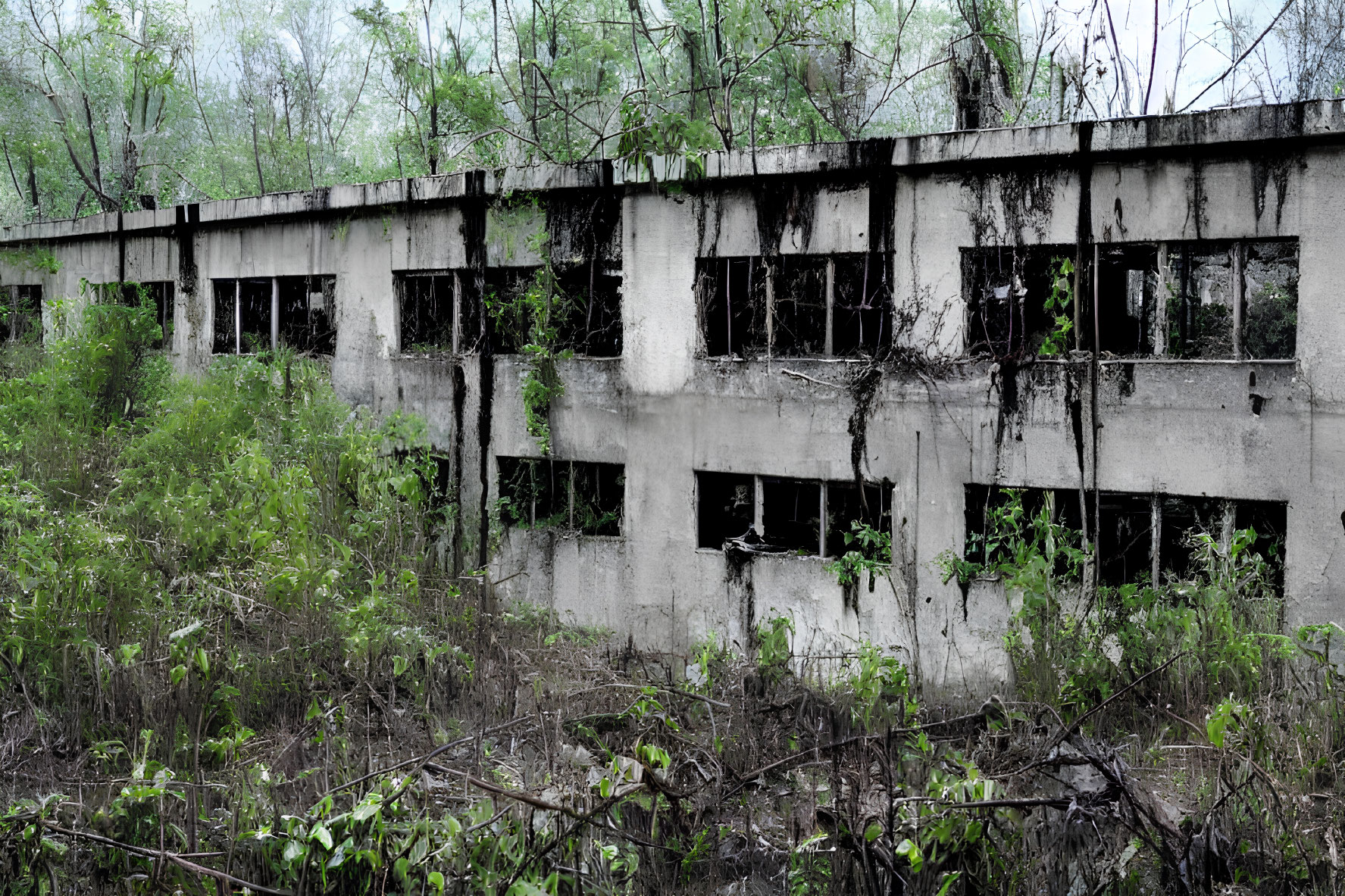 Decaying concrete building engulfed by forest vegetation