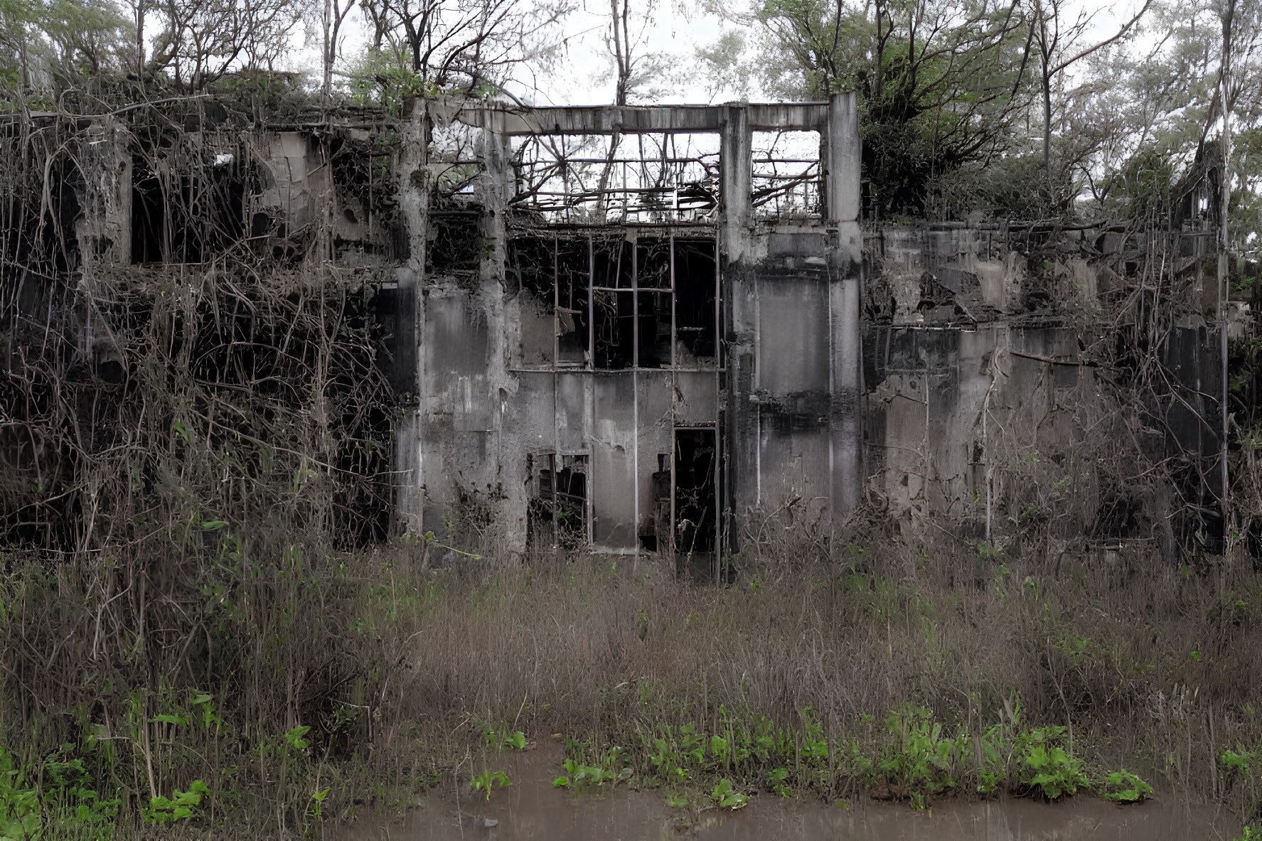 Abandoned two-story building surrounded by vegetation and bare trees under cloudy sky