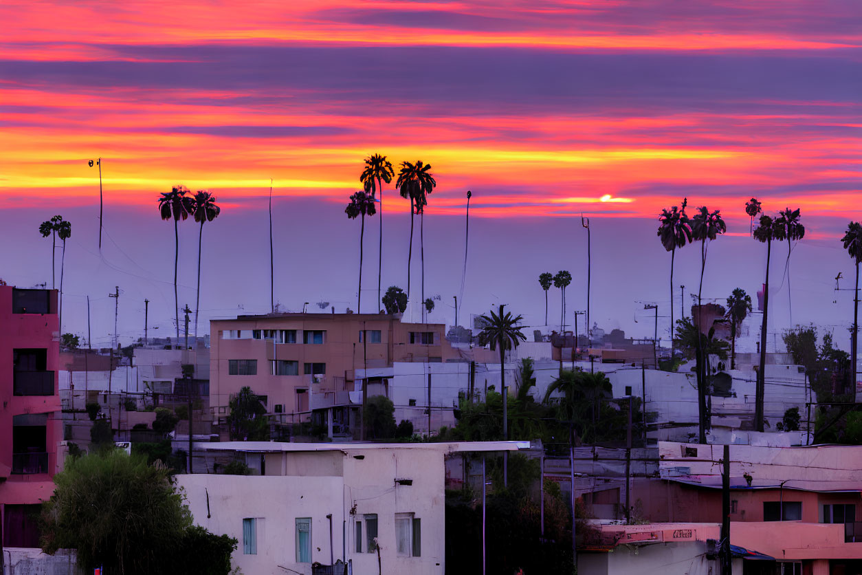 Cityscape sunset with palm tree silhouettes in vibrant sky