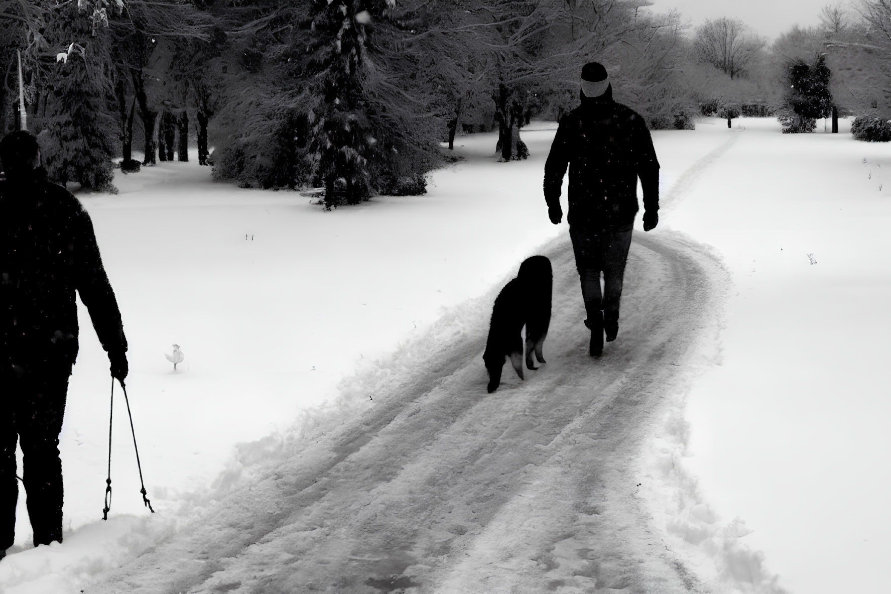 Two people in wintry park: one walking dog, one carrying ski poles