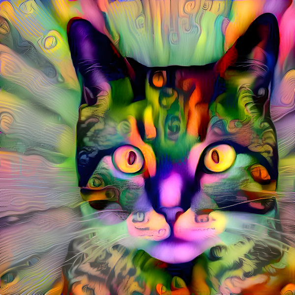 Psychedelic cat 