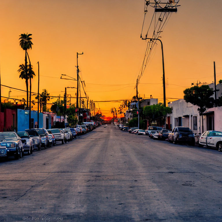 Sunset over quiet street with parked cars and palm trees.