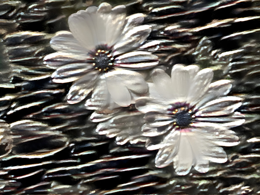 Daisy Chain