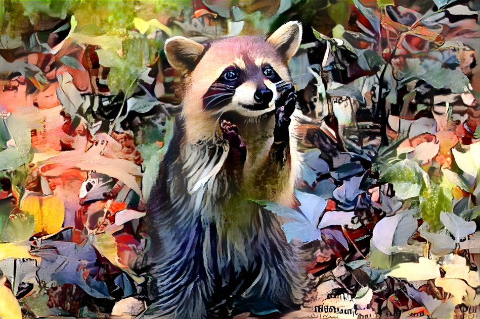 Scarcity Raccoon