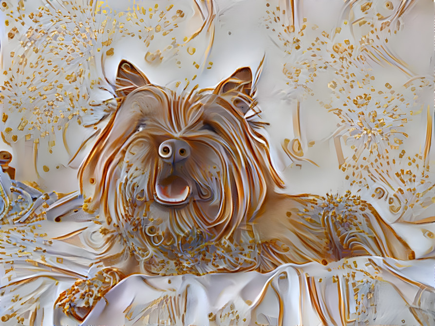 Opulent Terrier