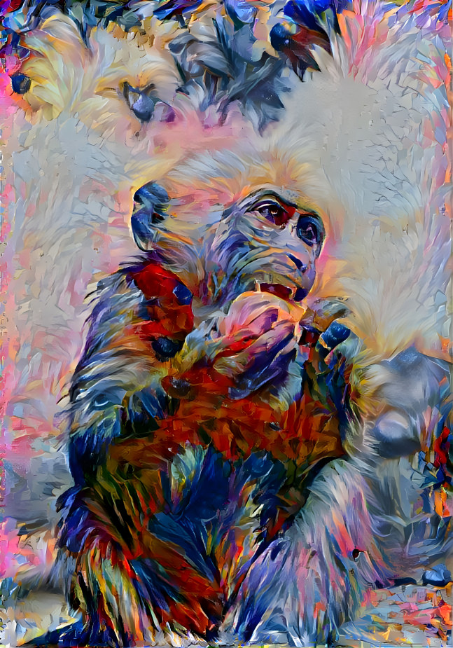 Monkey2