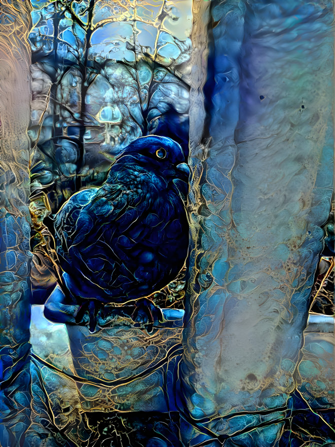 pigeon