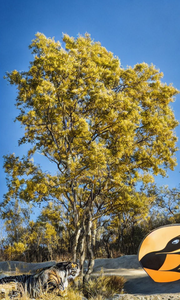 Colorful tree and cartoon tiger vehicle under clear blue sky