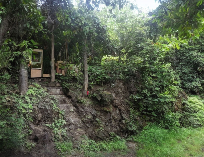 Rustic Treehouse on Rocky Embankment with Lush Greenery