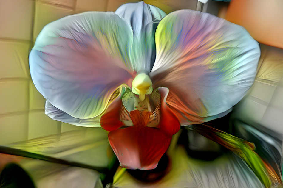 Orchidee2