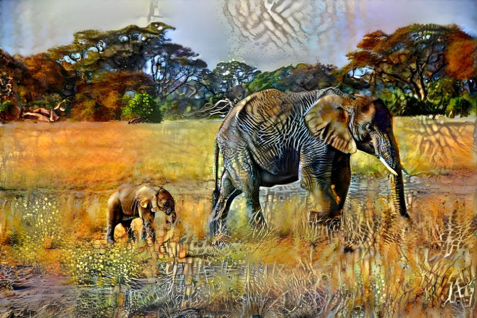 Elefant3