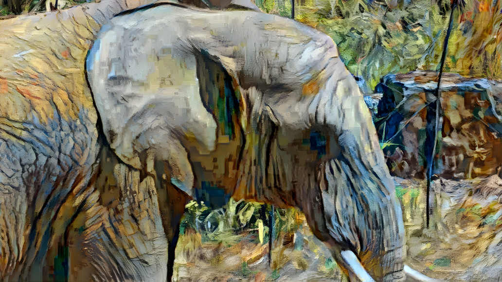 Elefant4