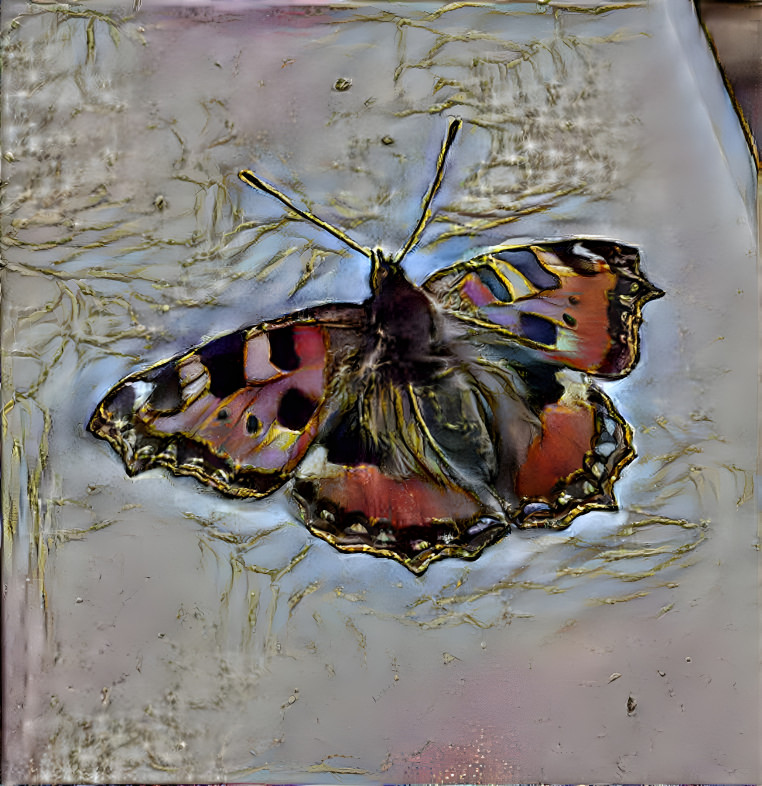 Schmetterling4