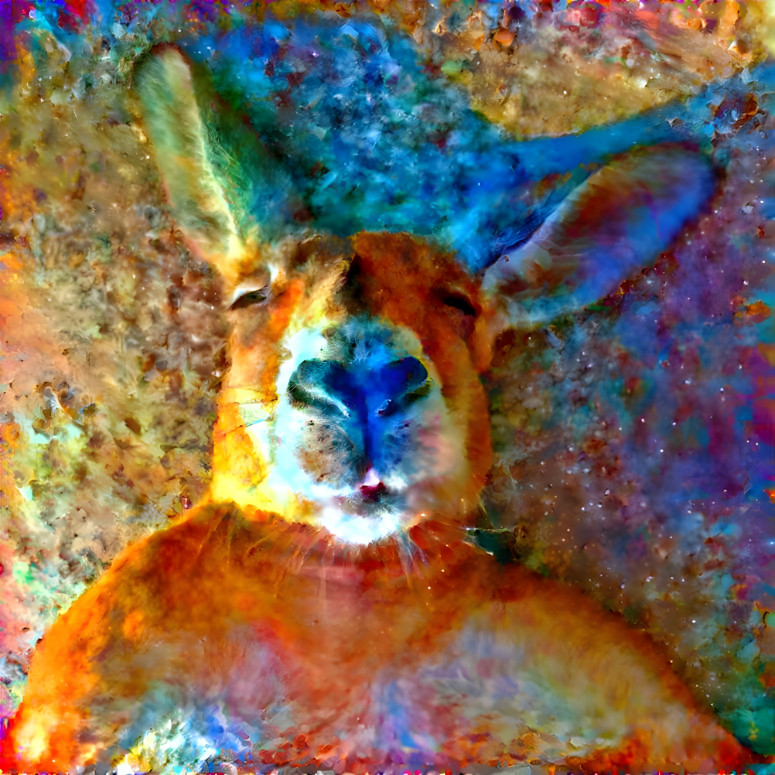 kangaroo