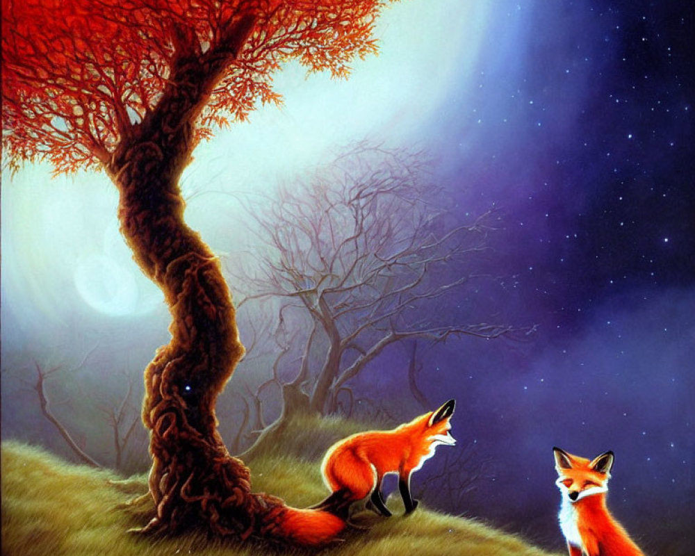 Twilight sky with two foxes under twisted tree