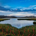 Tranquil landscape with reflective lake, flower fields, birds, and colorful sky