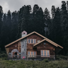 Vibrantly colored cottage in dark forest with purple hues.