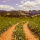 Rural landscape with wildflowers, house, and green hills