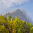 Colorful Forest and Snow-Capped Mountains Landscape