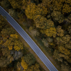 Curving Road Through Dense Autumn Forest