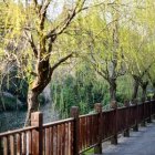 Colorful garden with flowers, trees, bird, and wooden fence in soft light