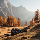 Golden sunlight over orange-leafed trees and mountains