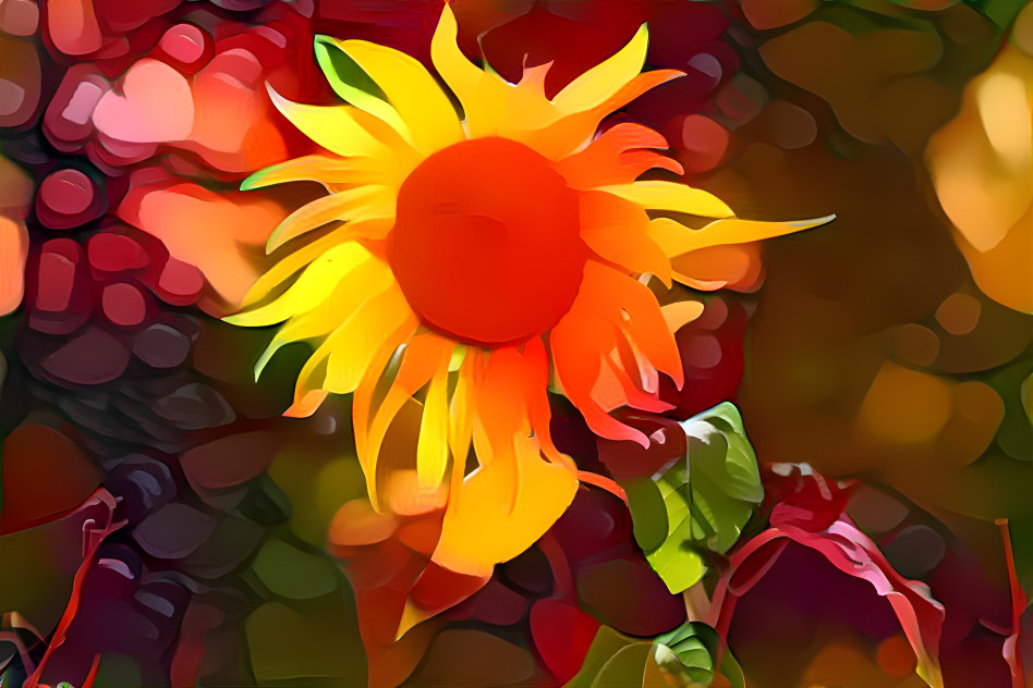 Sonnenblume