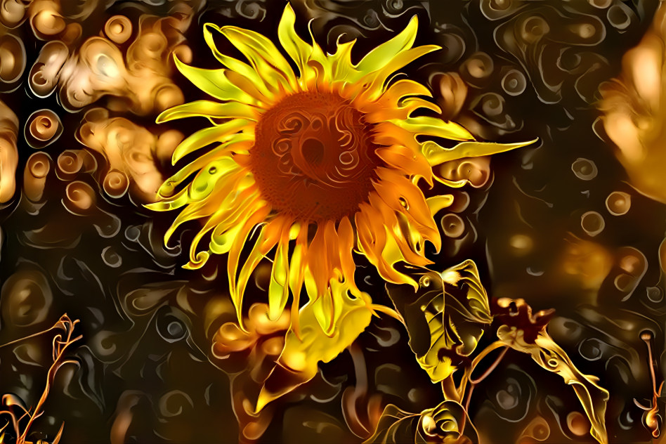 Sonnenblume