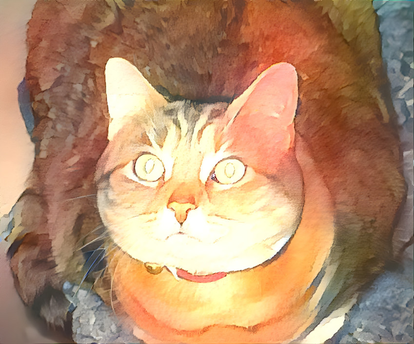 Watercolor cat