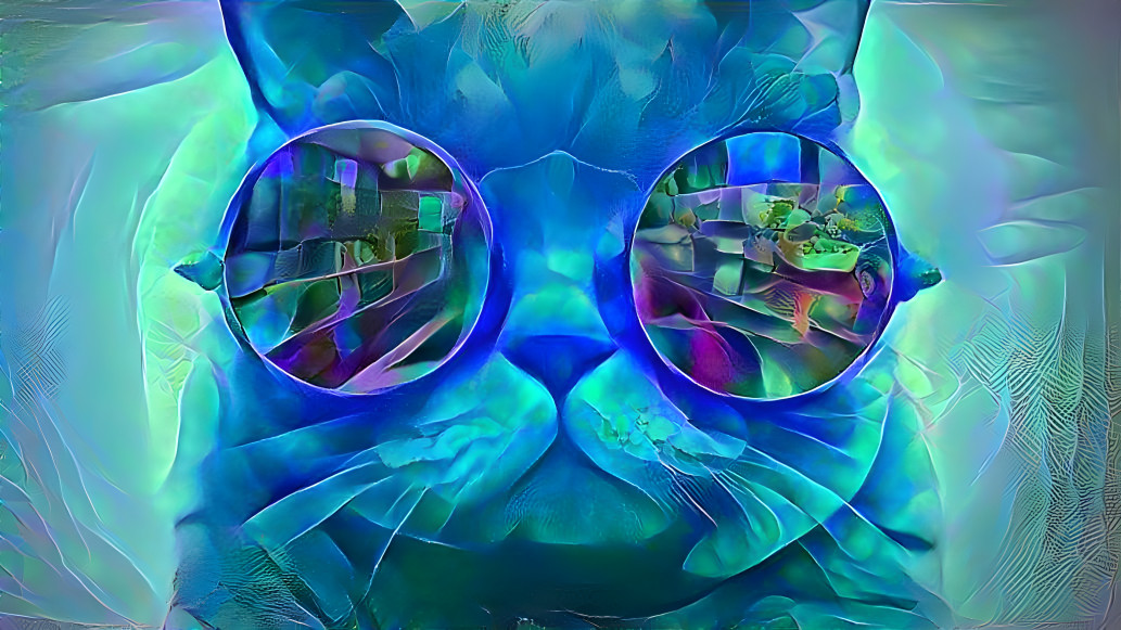 CAT-GLASSES