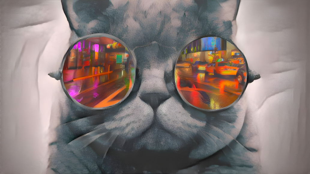 cat-glasses