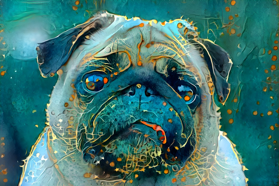 Pug