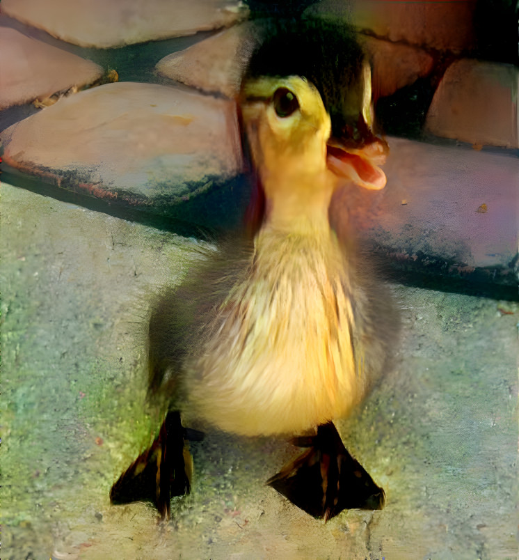 Duck