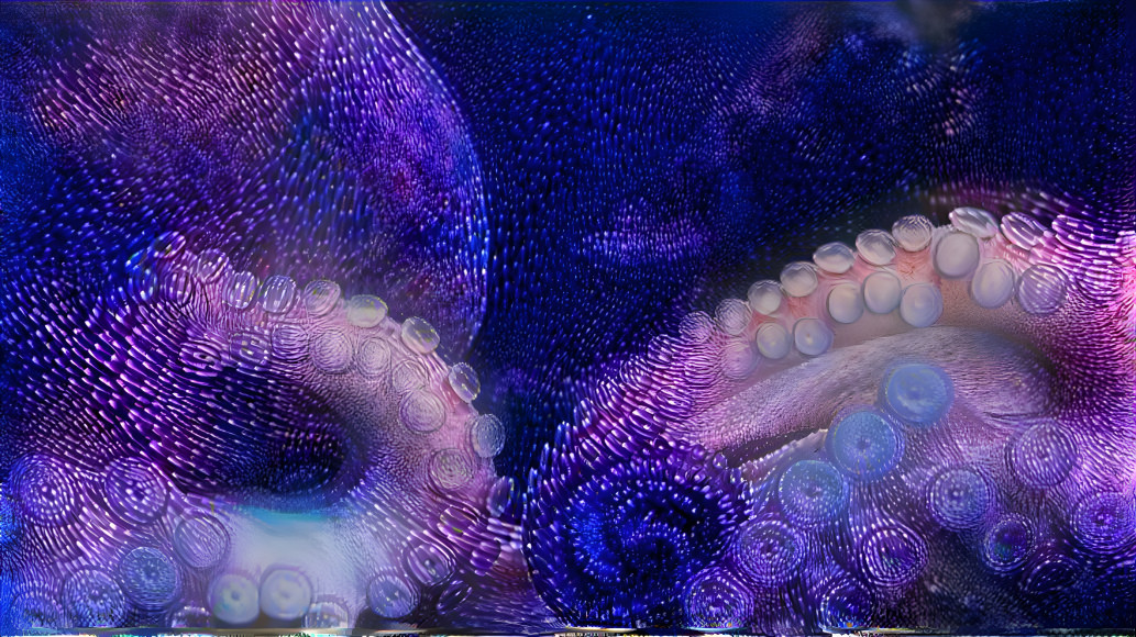 Octopus