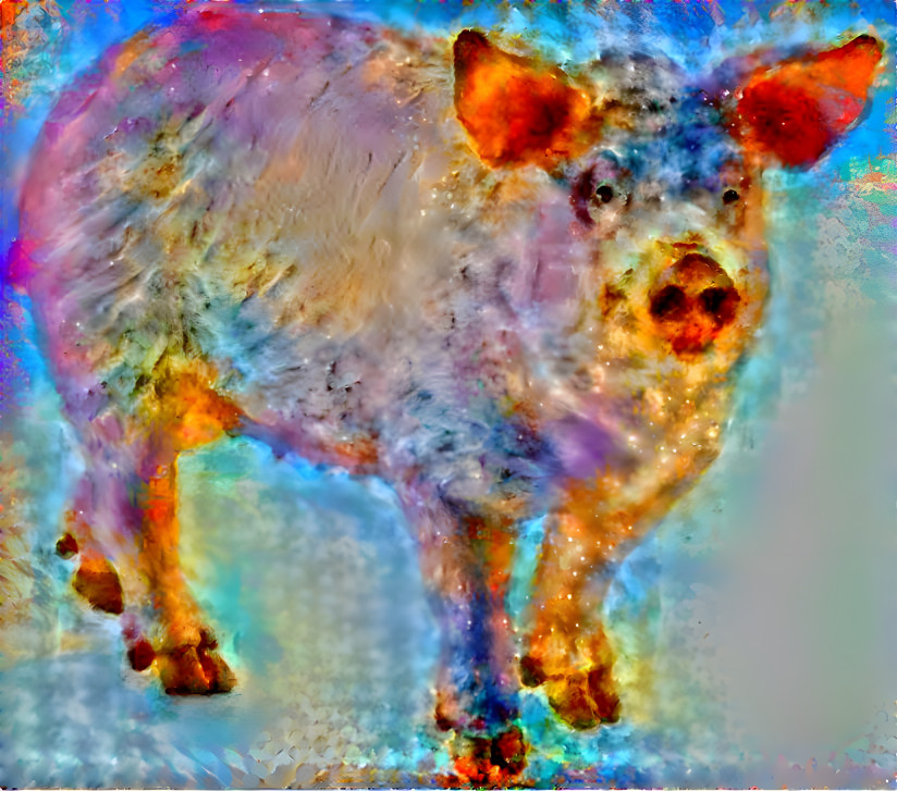 pig