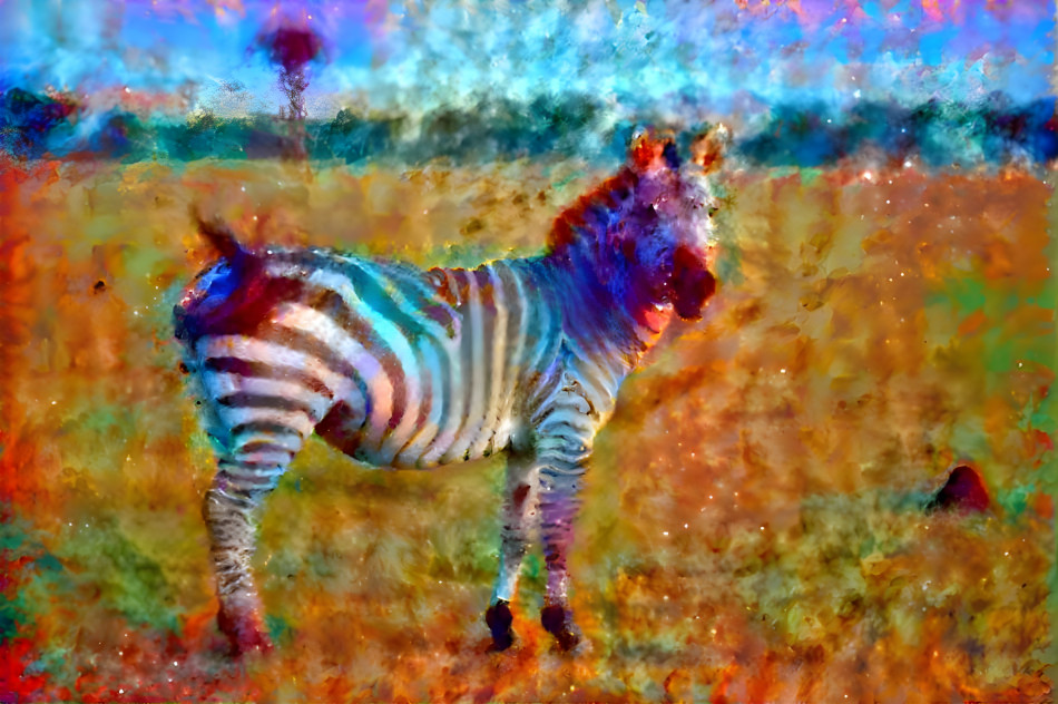 The Zebra