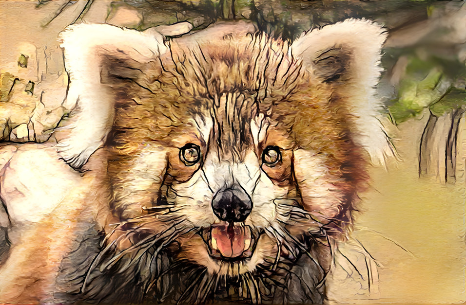 red panda