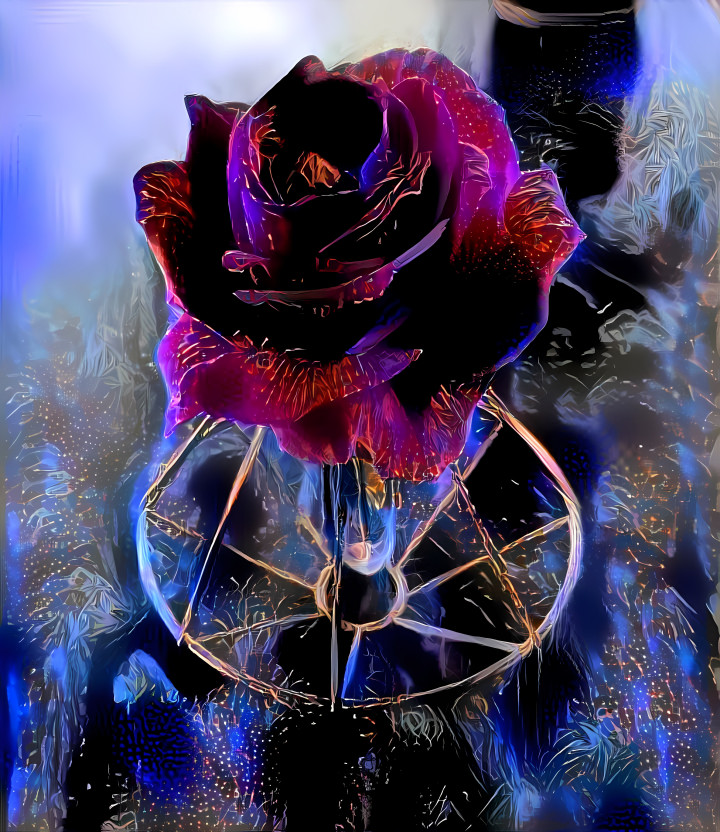 Rose morph