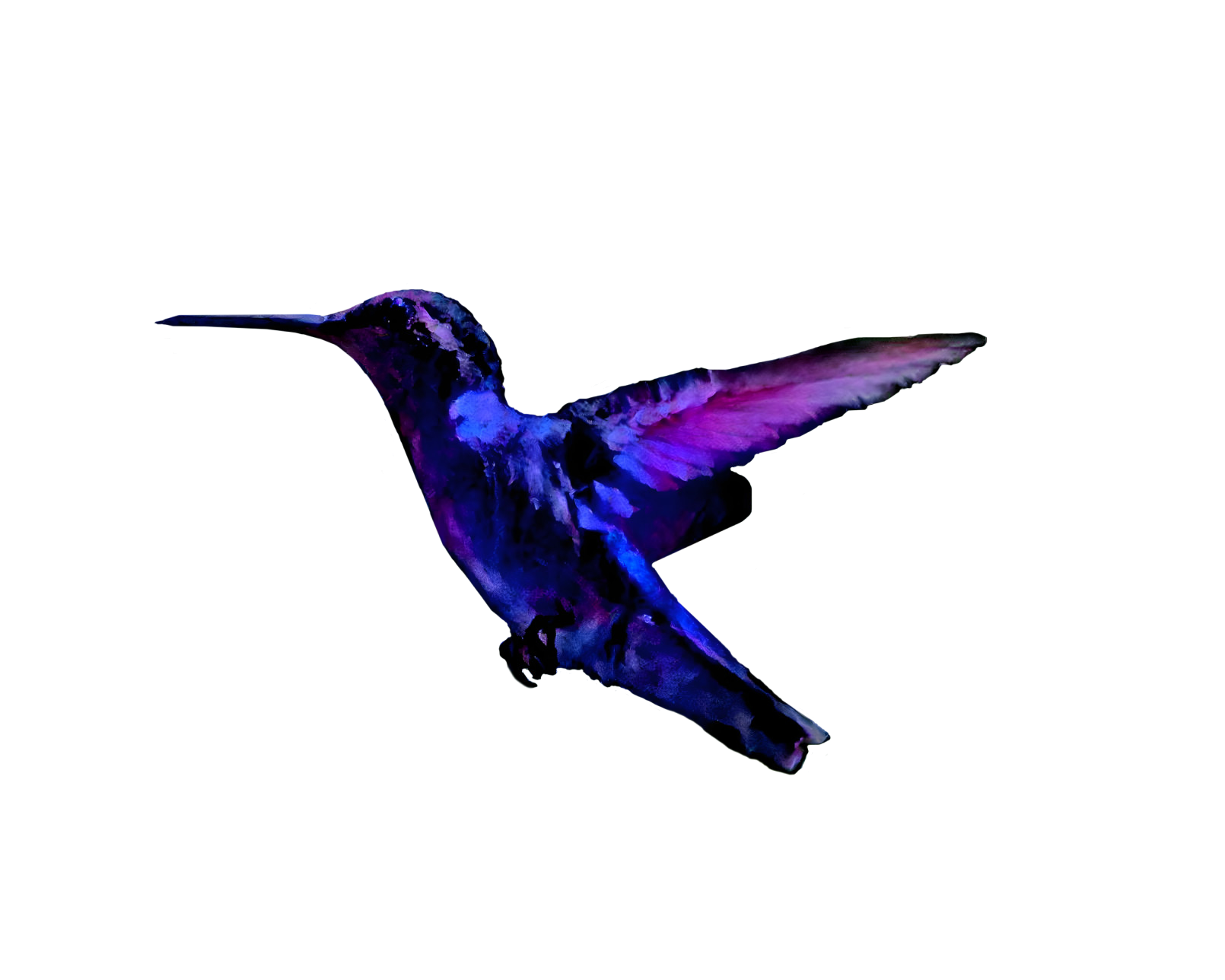 Hummingbird