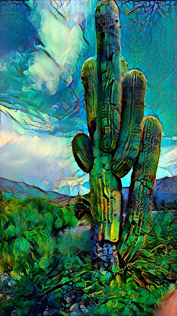 Cactus