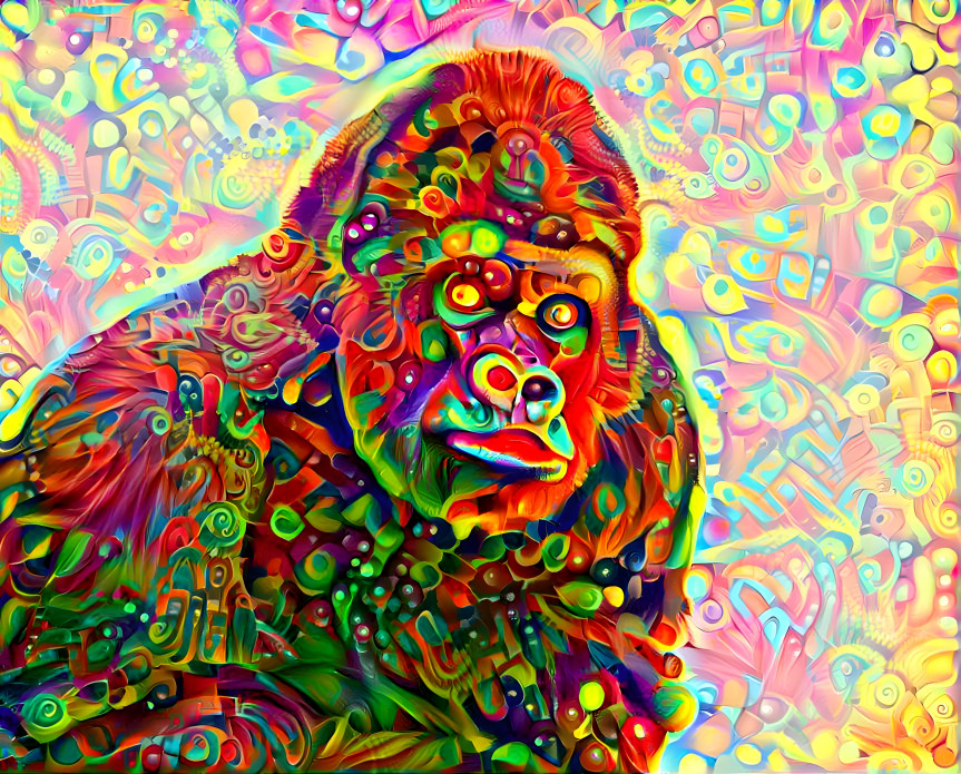 GORILLA