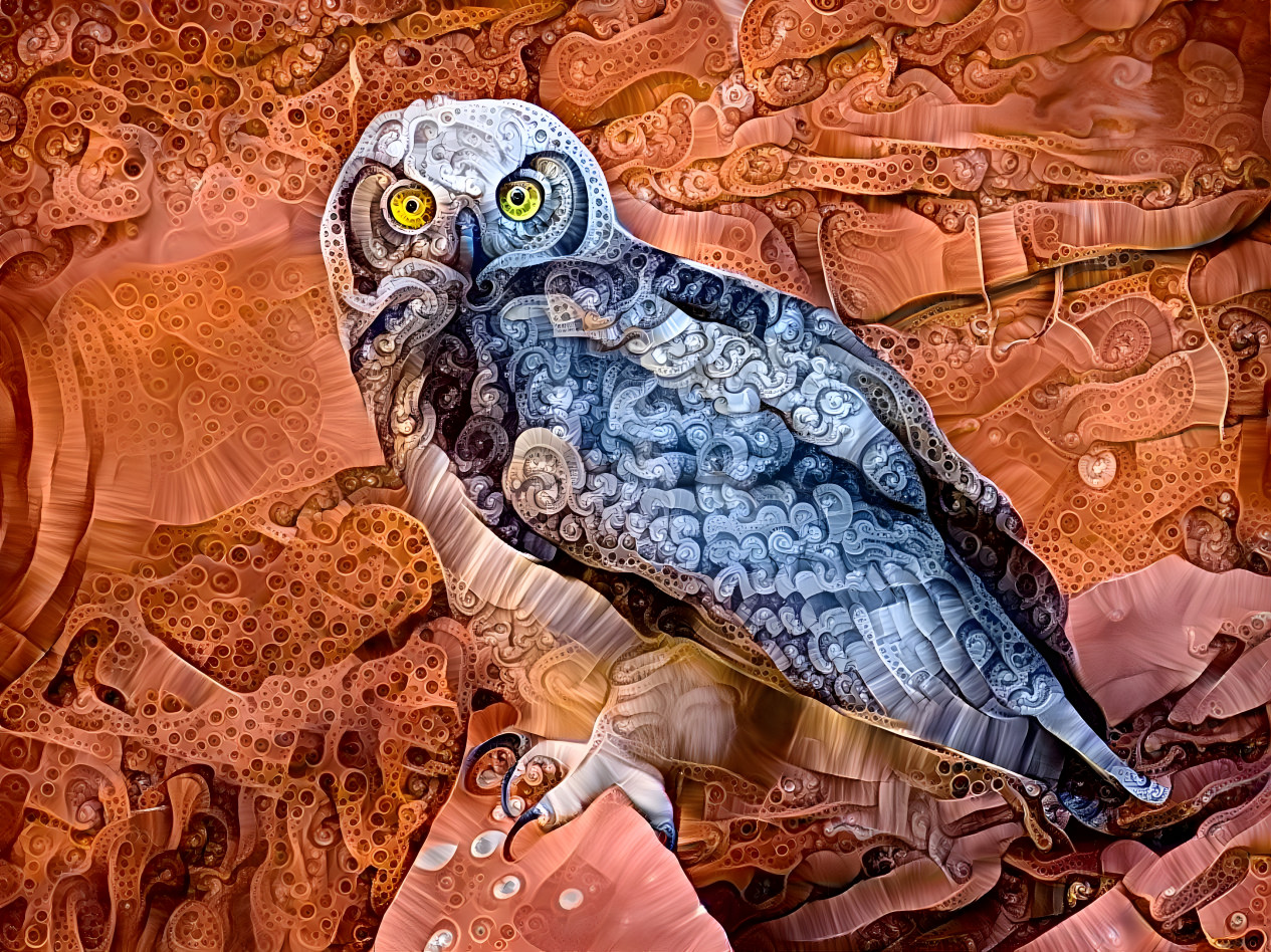 Great Horned Owlet