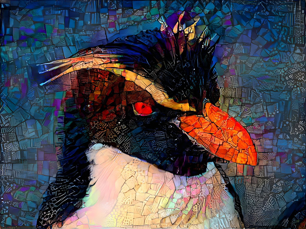 Snares Crested Penguin