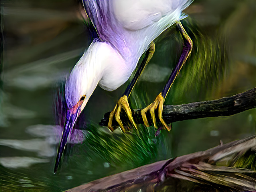 Snowy Egret