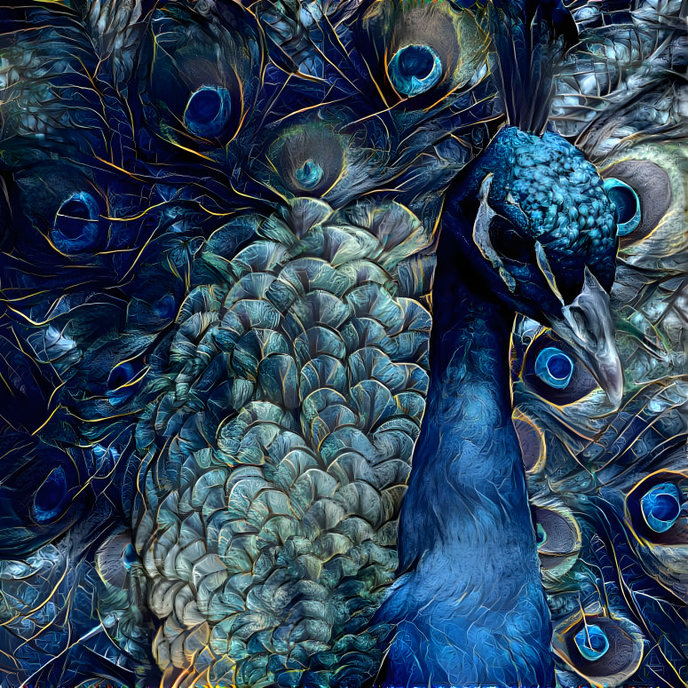 peacock