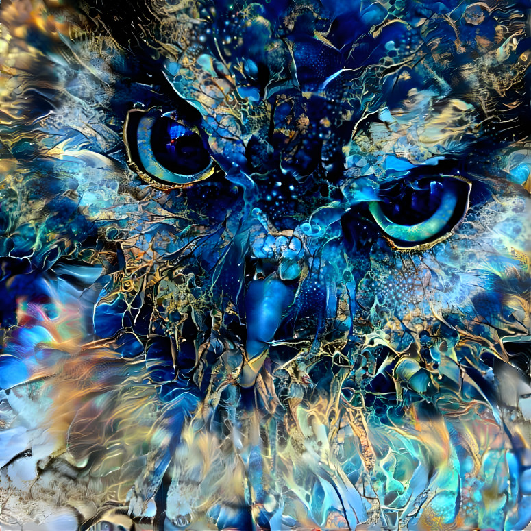 Owl