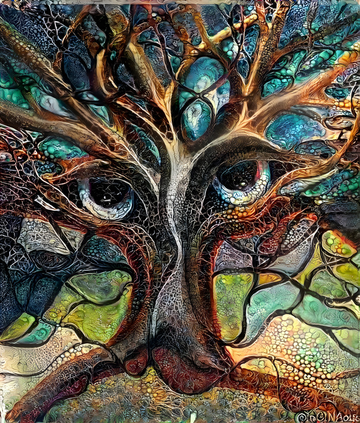 Trees Have Eyes